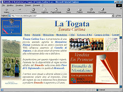www.brunellolatogata.com
